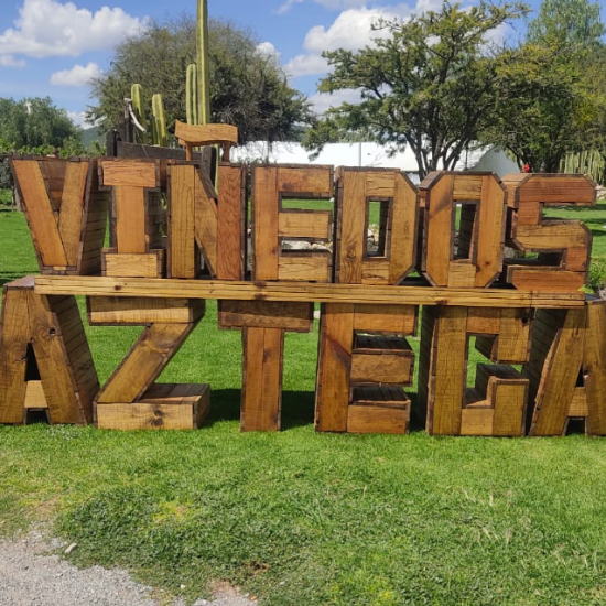 vinedos azteca